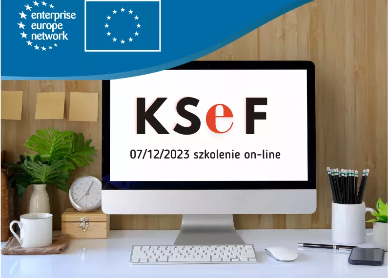 Szkolenie on-line: KSeF i e-faktura. Klucz do efektywności w biznesie międzynarodowym w 2023/2024